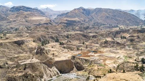 Panoramic view of Colca Canyon, Peru, South America with farming terraces Foto stock