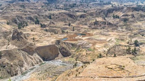 Panoramic view of Colca Canyon, Peru, South America with farming terraces Foto stock