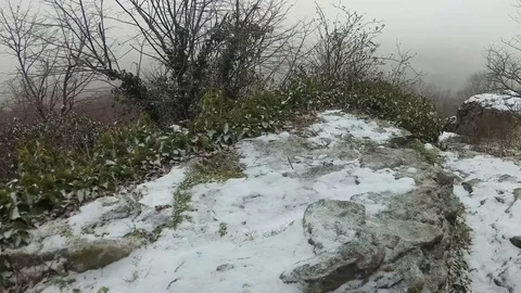 Panoramic View in a Cold Winter Day at the Forest Peak of Strandzha Mountain Stock Footage 106348090