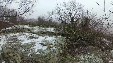 Panoramic View in a Cold Winter Day at the Forest Peak of Strandzha Mountain Stock-Footage 106348099