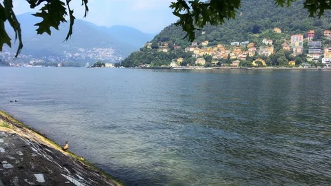 Panoramic view of como lake under a tree Stock Footage 118650170
