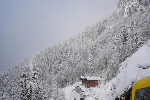 Panoramic View of Conifer Forest and Wooden Cabins on Hill Stock Photos