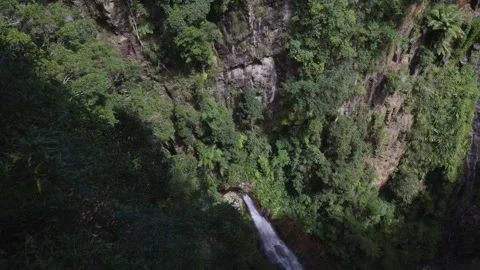 Panoramic View of Coomera Falls Vídeo Stock 303122526