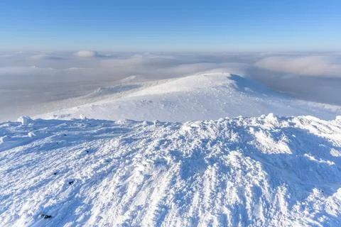 A panoramic view of the covered with snow trees in the snowdrifts. Magical .. Stock Photos