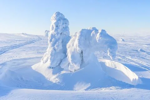 A panoramic view of the covered with snow trees in the snowdrifts. Magical .. Stock-Fotos