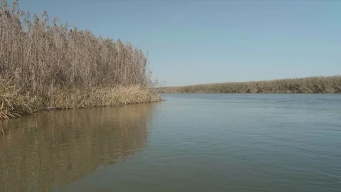 Panoramic view of creek surrounded by reeds. Autumn scenery. Stock Footage 124417166