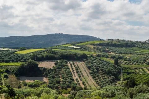 Panoramic view of the Cretan landscape. Stock Photos