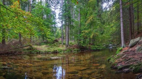 Panoramic view of crystal clean and transparent water of mountain river. Stock Photos