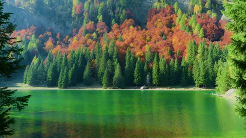 Panoramic View of Crystal-Clear Mountain Lake with Colorful Autumn Forest Stock Footage 320042676