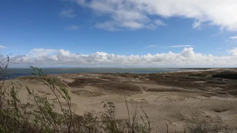 Panoramic view of Curonian Spit Stock Footage 309507376