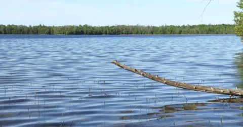 Panoramic view of Cyprus lake, Canada Stock Footage 39562289