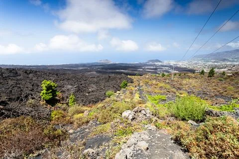 Panoramic view of dark volcanic lava flows extending to coastal towns in La.. Stock Photos