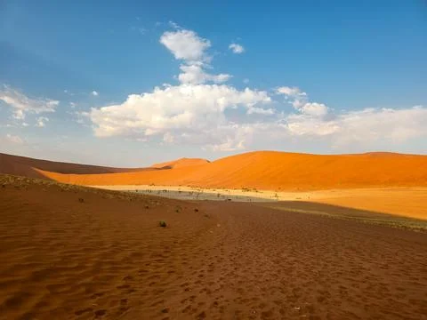 Panoramic view on the Dead Vlei at Namib Naukluft national park, Namibia, s.. Stock Photos