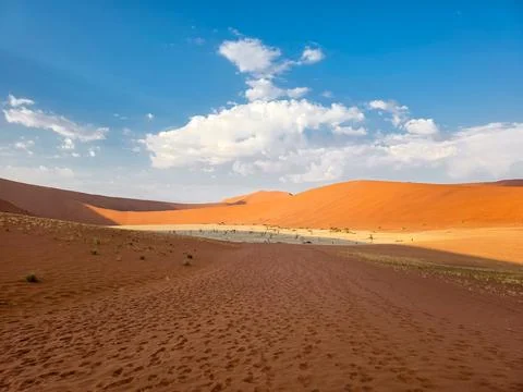 Panoramic view on the Dead Vlei at Namib Naukluft national park, Namibia, s.. Stock Photos