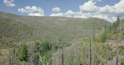 Panoramic view of a deep mountain canyon with bridge surrounded by burnt snags Vídeo Stock 347636373
