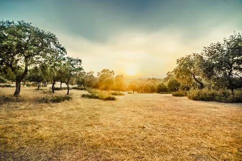 Panoramic view of the Dehesa Boyal in San Sebastian de los Reyes, Madrid. Sum Stock Photos