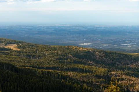 Panoramic view of dense evergreen forest and mountain valley under blue sky Stock Photos