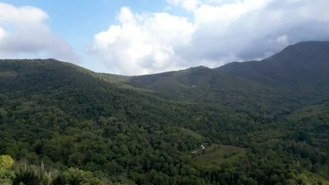 Panoramic view of a dense fir forest with clouds in the sky Stock Footage 321429761