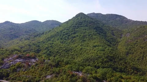 Panoramic View of Dense Forested Mountains with Winding Roadway Outdoors Video stock 342772268
