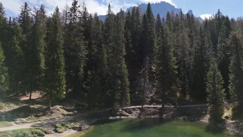 Panoramic View of Dense Mountain Forest Under Blue Sky Video stock 341547467