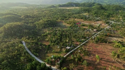 Panoramic View Of Dense Woodland Through Road Near Hawan Grande Barangay In Stock-Footage 336752047