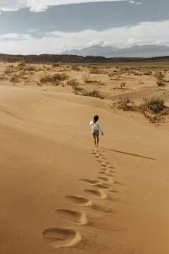 Panoramic view to the desert Foto stock