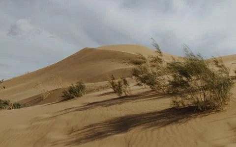 Panoramic view to the desert Stock Photos