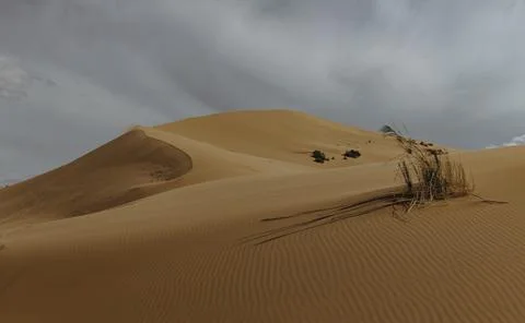 Panoramic view to the desert Foto stock