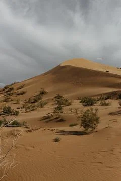 Panoramic view to the desert Stock-Fotos