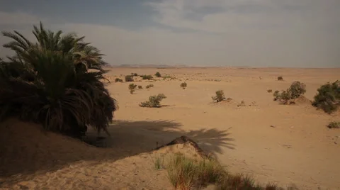 Panoramic view of the desert from a small oasis, Egypt Stock Footage 36142082