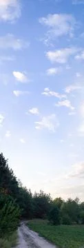 Panoramic view of a dirt path leading through a forest edge under a bright .. Stock Photos