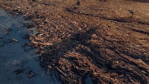 Panoramic view of dirty sea, heaps of garbage on sandy shore, pollution Stock Footage 252040268