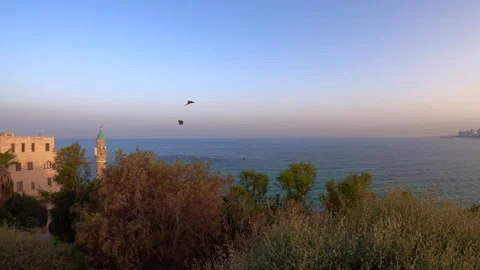 Panoramic view of downtown Tel Aviv as seen from Old City of Jaffa Stock Footage 141306629