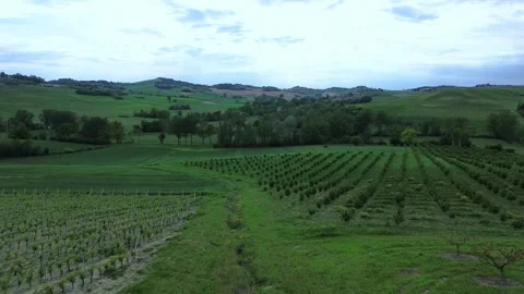 Panoramic view with drone in Grazzano Badoglio Stock Footage 275170477