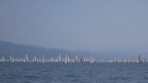 Panoramic view during the barcolana 50 in Trieste - slowmotion Stock Footage 98817482