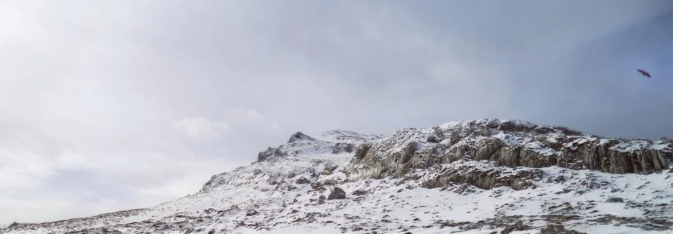 Panoramic view of an eagle flying over snow covered mountain range in winter Stock Photos