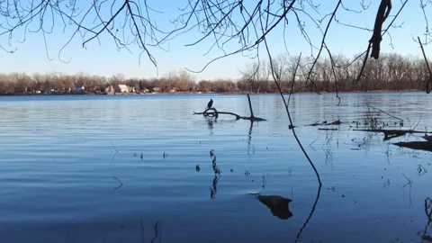 Panoramic view on the edge of the river with a blue sky reflecting 動画素材 167673053