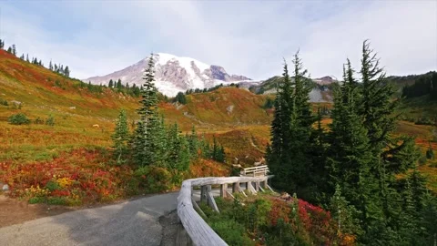 Panoramic View of Edith Creek and Myrtle Falls with Mount Rainier in Autumn Video stock 332140112