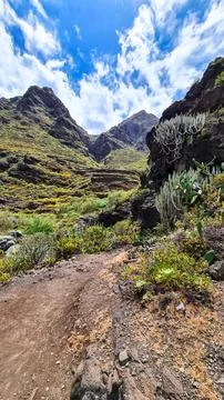 Panoramic view on El Dedo del Roque Pai crag, Roque Paez in the Anaga mount.. Stock Photos