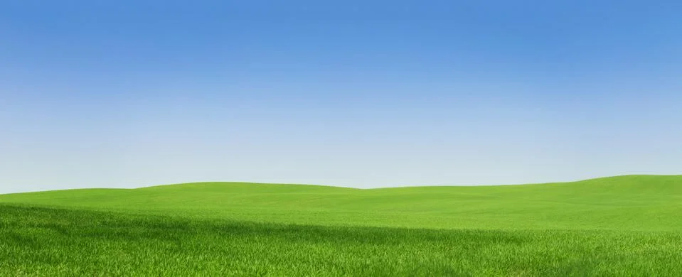 Panoramic view of an empty green field Stock Photos