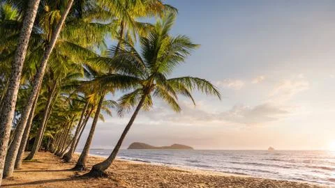 Panoramic view of an empty tropical beach at the sunrise with copy space Stock Photos
