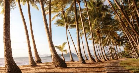 Panoramic view of an empty tropical beach at the sunrise with copy space Stock Photos