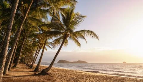Panoramic view of an empty tropical beach at the sunrise with copy space Stock Photos