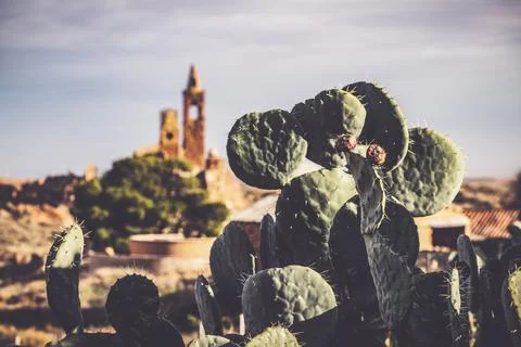 Panoramic view of endless rural plain with cactus plants, Aragon, Spain Stock Photos