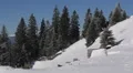 Panoramic View Establishing Shot Winter Landscape Forest Mountains Snow Covered HD Footage
