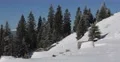 Panoramic View Establishing Shot Winter Landscape Forest Mountains Snow Covered 4k or 4k+ Resolution
