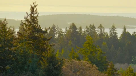 Panoramic view of evergreen forest and islands at sunset in Victoria  BC Canada Video stock 332540552