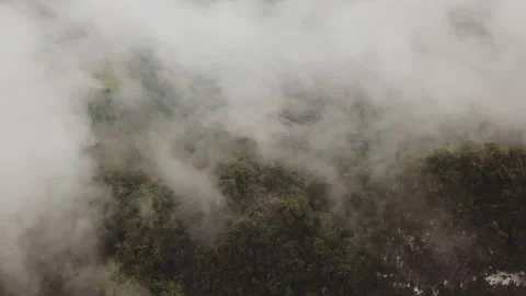 The panoramic view of the fast clouds, moving above the rainforest to the Stock Footage 201414971