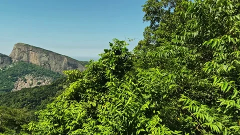 Panoramic view of Favela da Rocinha, Biggest Favela in Brazil and Dois Irmo.. Stock Footage 236656005