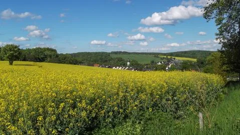 Panoramic view of a field in germany Stock-Fotos